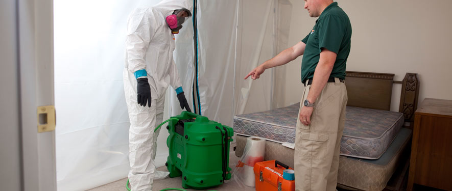 Downtown Portland, OR mold removal process